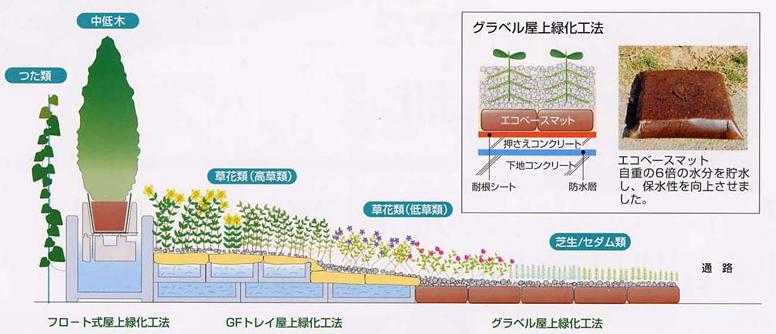 無灌水緑化工法の概要