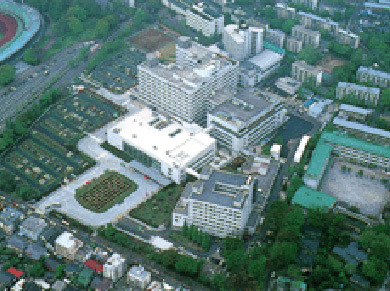 東京 機構 国立 病院 病院 独立行政法人国立病院機構 東京病院