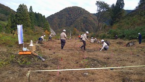 植林作業の様子